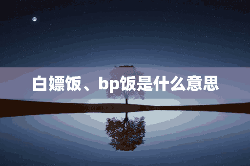 白嫖饭、bp饭是什么意思(饭圈白嫖是什么意思)